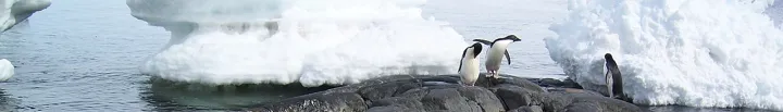 East Antarctica-banner