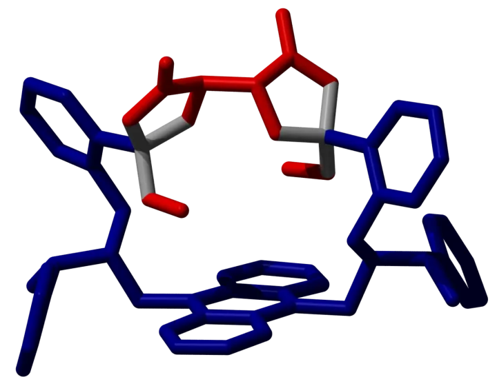 Tony D James enantioselective diboronic acid fluorescent sensor
