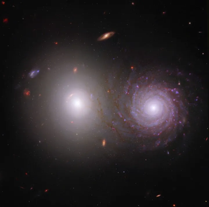 STScI 01GE08RNPH8RBMMGMC52JD3R93 Trevor Butrum, NASA