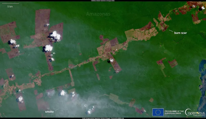 Highest number of fires in Amazônia since 2010 (highest-number-fires-amazonia-2010)