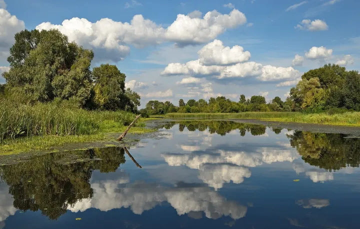 August. Kozachij island in the Dnipro river. Ukraine