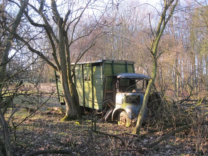 Lost in the woods - geograph.org.uk - 2821818