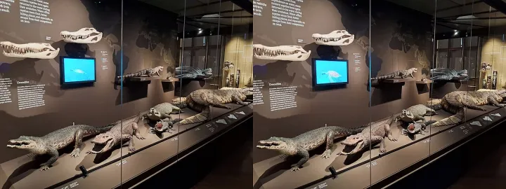 PCZ830 19 Praha National Museum Reptiles 3 3D