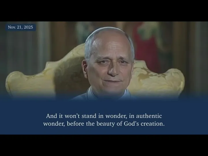 Pope Leo XIV on AI can process information quickly but cannot replace human intelligence 