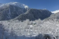 Orchards in snow, Sangla, Himachal Pradesh, India