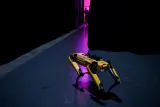 SpotMini, Boston Dynamics, Robot