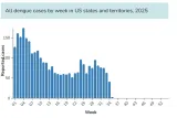 Dengue cases U.S. 2025