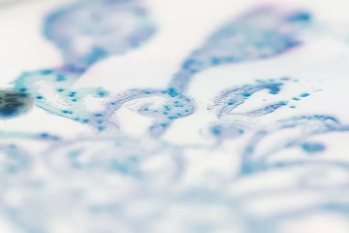Wild garden of the gut bacteria 5