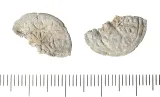 Early medieval lead coin? (FindID 572875)