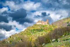 Ribeauville, Alsace, France, 2025 (55244402660)