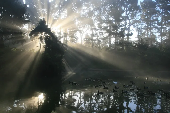 Crepuscular rays 09-11-2010 1