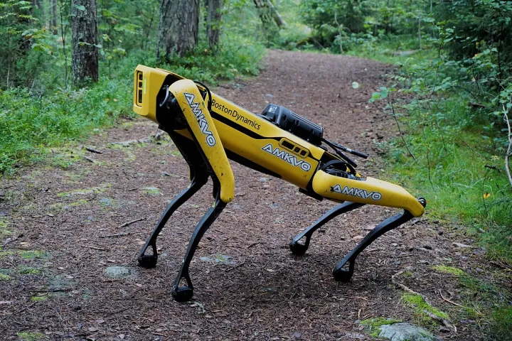 Spot by Boston Dynamics