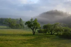 Morning in Łupków, Poland 01