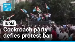 India’s youth-led Cockroach movement defies protest ban • FRANCE 24 English