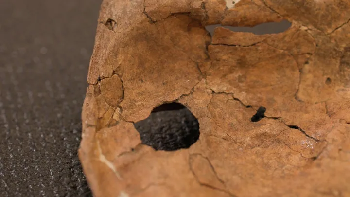 Neanderthal may have been killed by spear 75,000 years ago | SWNS