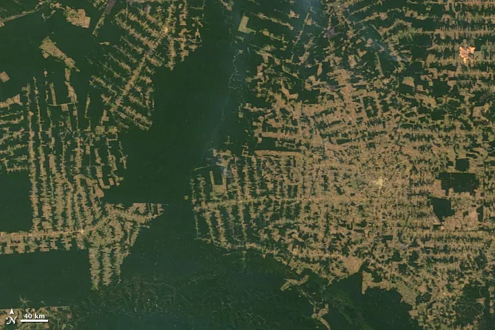 Amazon deforestation 2010214