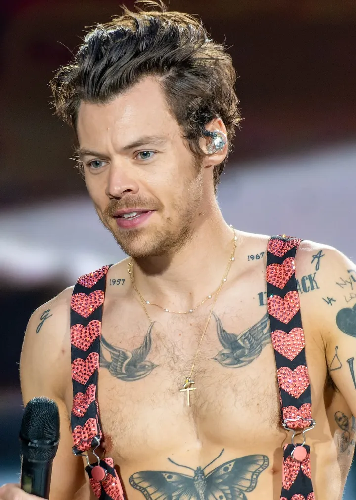 Harry Styles (Wikidata P18)