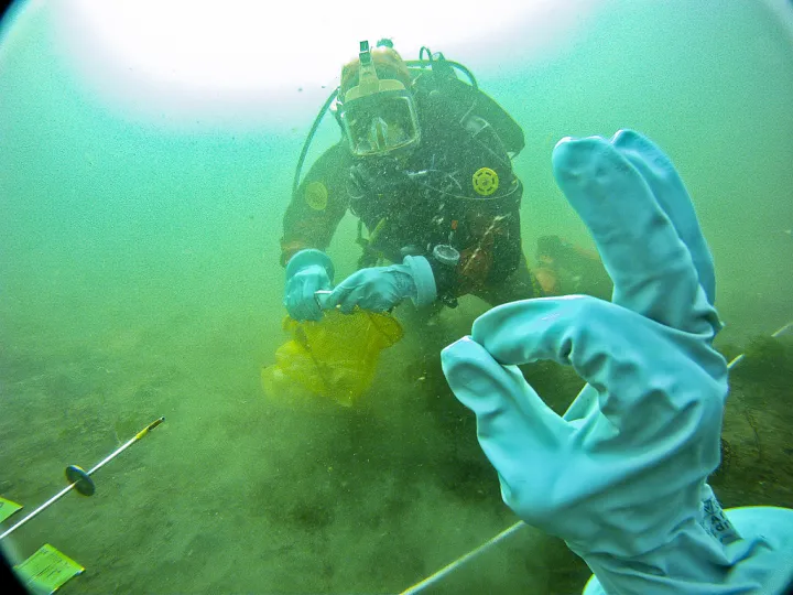 "Talking" underwater to safely collect samples (7160550185)