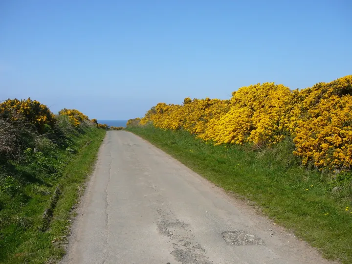 The lane running inland from Blue Point - geograph.org.uk - 2145509