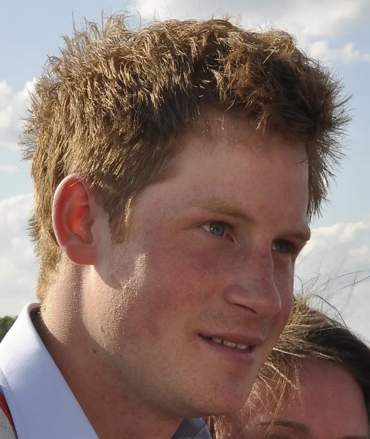 Prince Harry in 2009 cropped 01