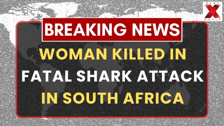 Woman Killed In Shark Attack At South African Beach | NewsX World
