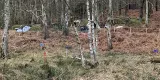 Set being built for Amazon's "The Rings of Power" Season 2 - geograph.org.uk - 7414110