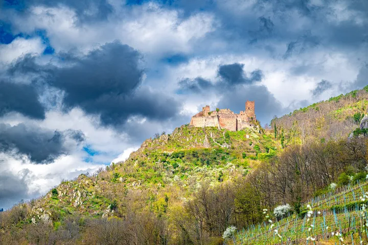 Ribeauville, Alsace, France, 2025 (55244402660)