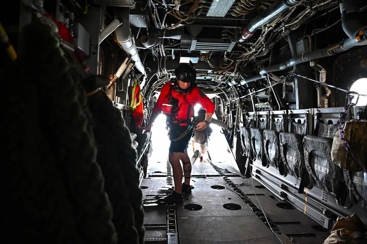 Multinational Exercise Bull Shark 24-2 reinforces U S bonds with allies and partners (8389849)