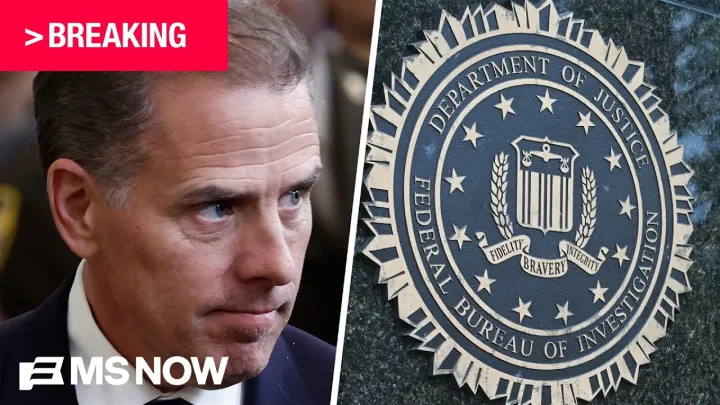 BREAKING: Two ex-FBI agents charged with lying to Congress in relation to Hunter Biden probe