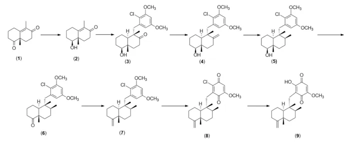 The total synthesis carried out by Brunner in the year 1995
