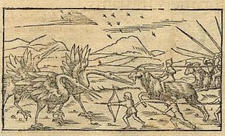 Pygmies attacks The birds