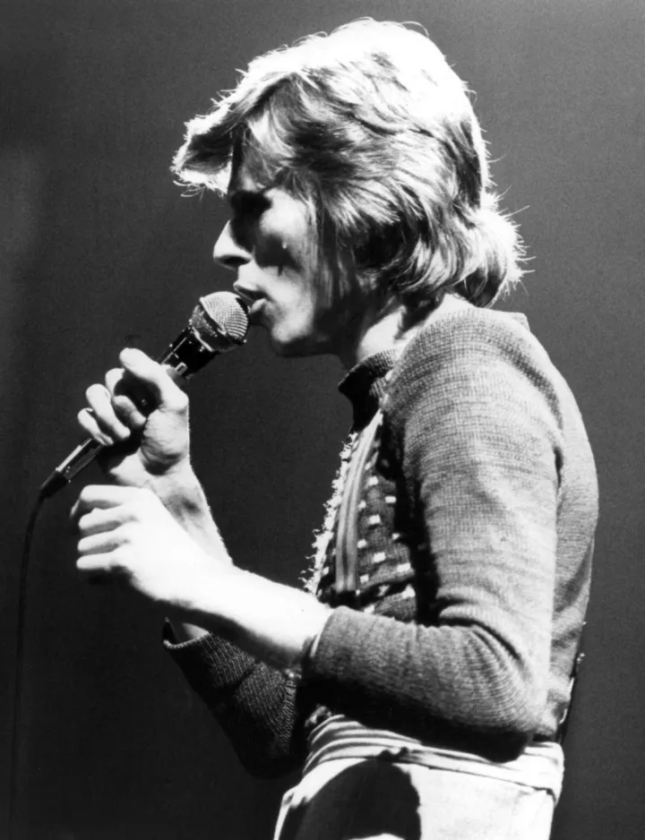 David Bowie 1974.JPG