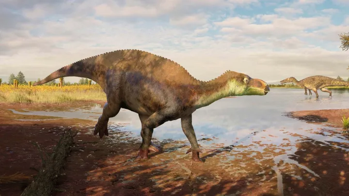 Dinosaur identified as new species 25 years after it was unearthed at brick works | SWNS