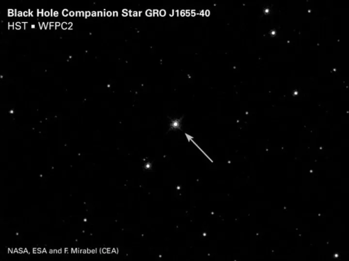 Black Hole Companion Star GRO J1655-40 (2002-30-1275).tiff