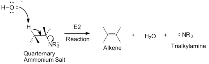 Elimination reactions of 4º-ammonium salts are termed Hofmann eliminations mechanism