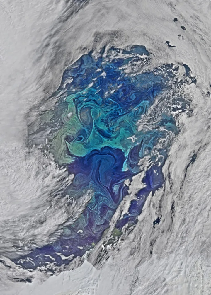 Eddies in the Southern Ocean, NASA