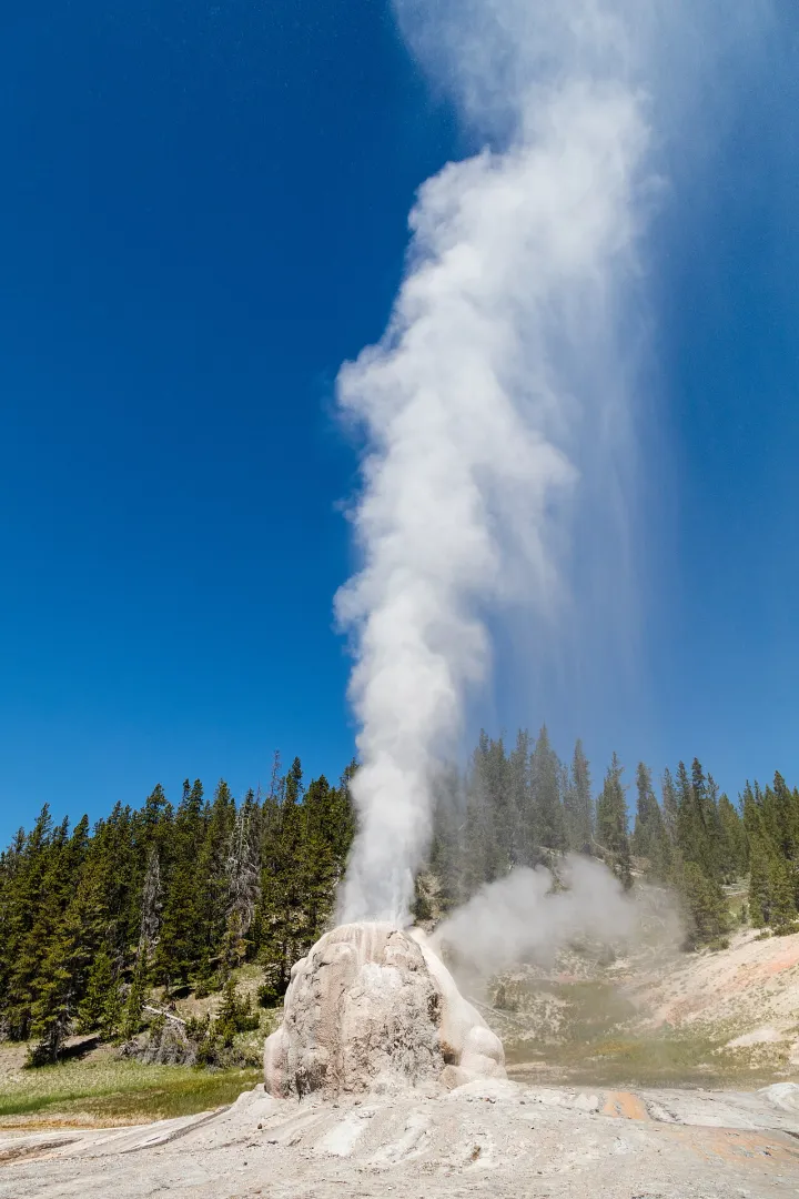 Lone Star Geyser on a sunny afternoon portrait (35765926035)