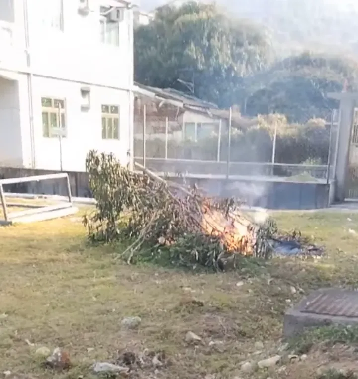 Daily open burning, Tai Po, Hong Kong