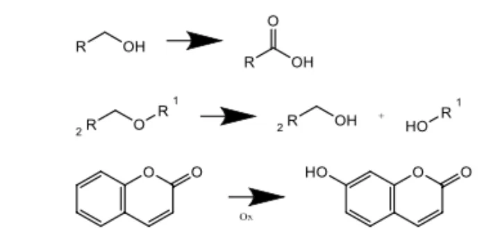 Oxidation reactions by cytochrome P-450 mixed function oxidases
