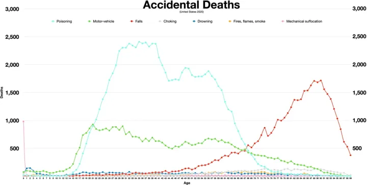 Accidental deaths 2020.webp