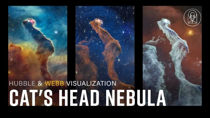 Multiwavelength Flight into the Cat's Head Nebula